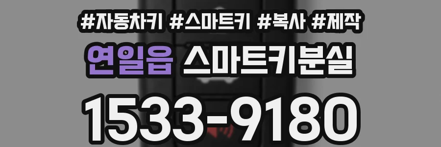 연일읍 스마트키분실