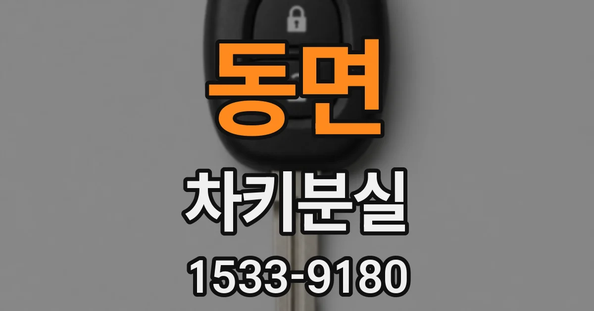 동면 차키분실