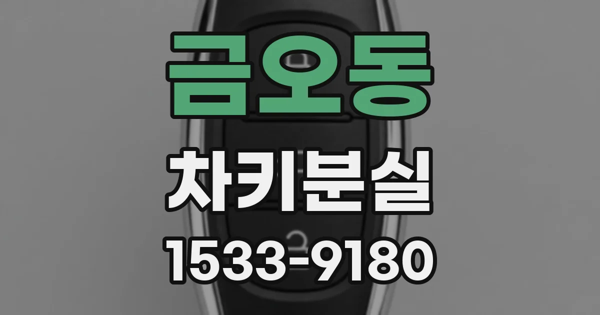 금오동 차키분실