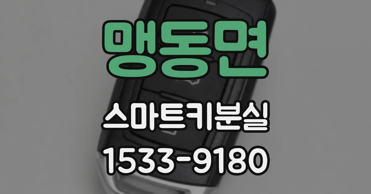 맹동면 스마트키분실