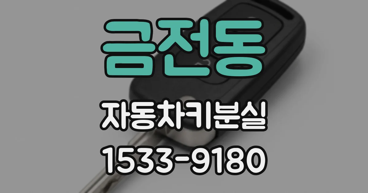 금전동 자동차키분실