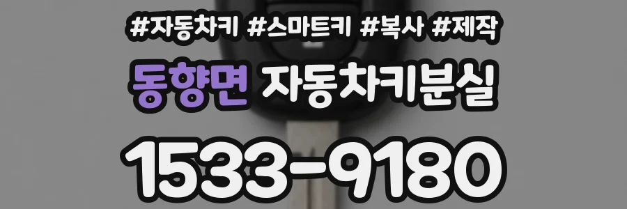 동향면 자동차키분실