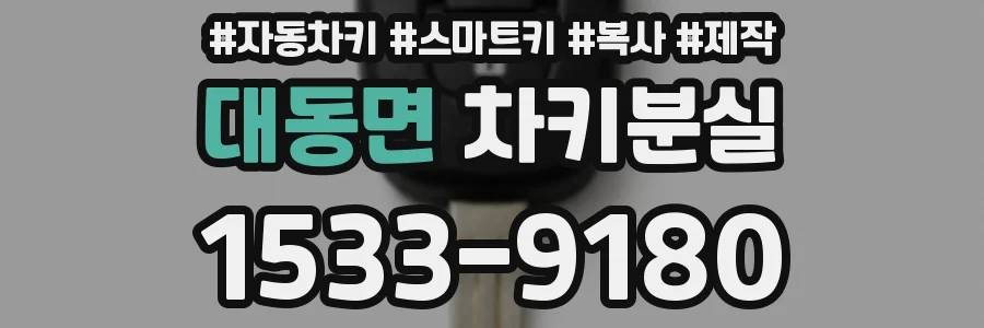 대동면 차키분실
