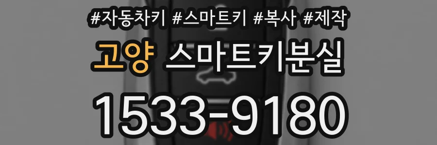 고양 스마트키분실