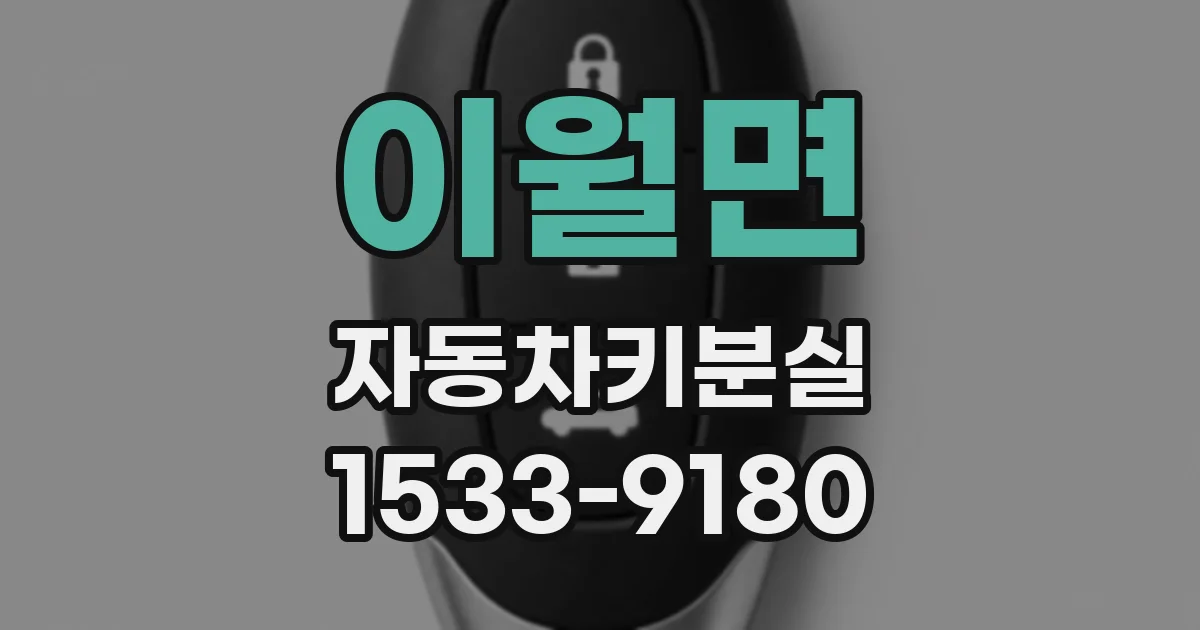 이월면 자동차키분실