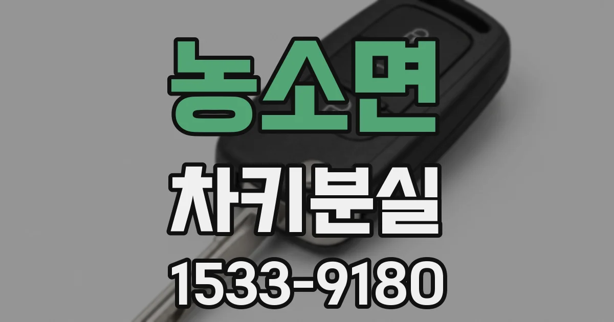 농소면 차키분실