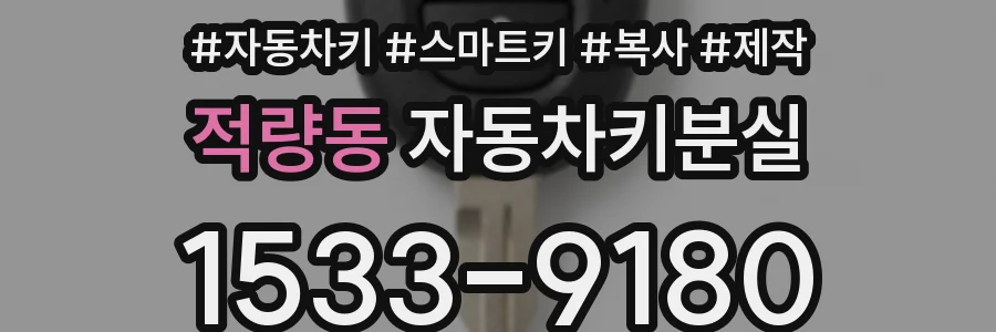적량동 자동차키분실