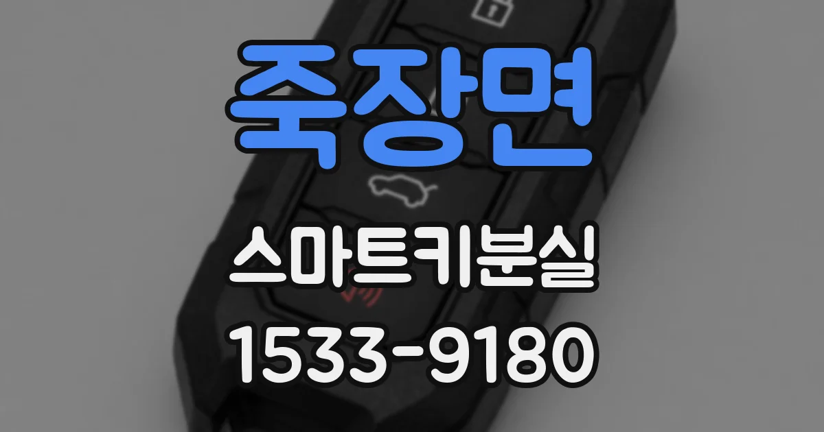 죽장면 스마트키분실