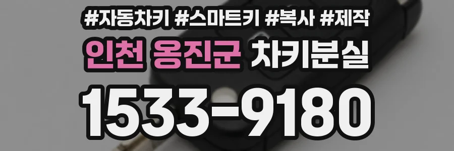 인천 옹진군 차키분실