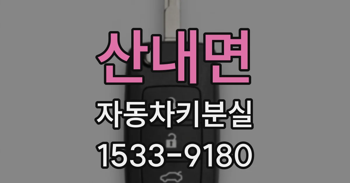 산내면 자동차키분실