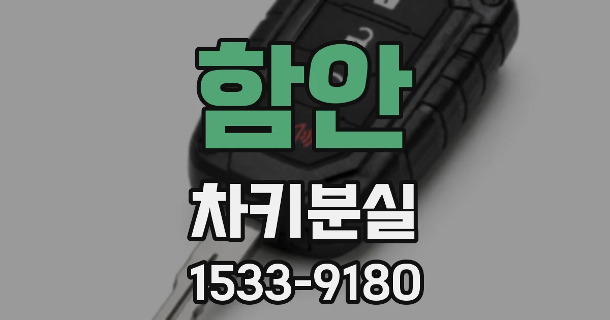 함안 차키분실