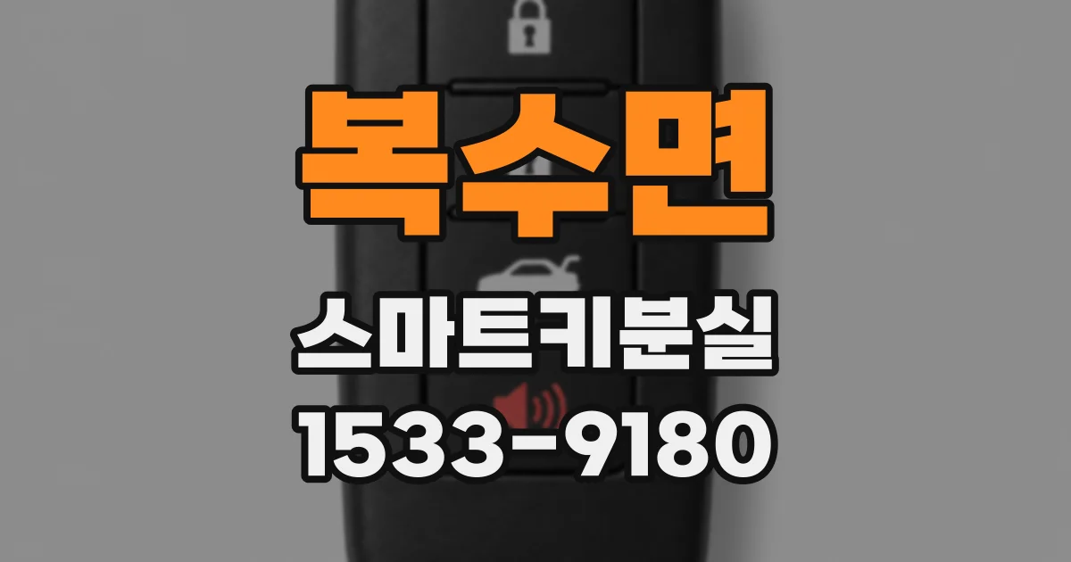 복수면 스마트키분실