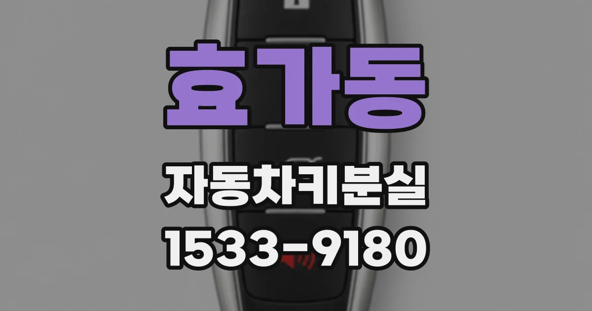 효가동 자동차키분실