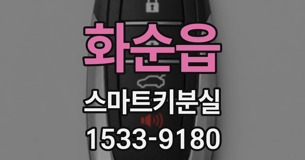 화순읍 스마트키분실