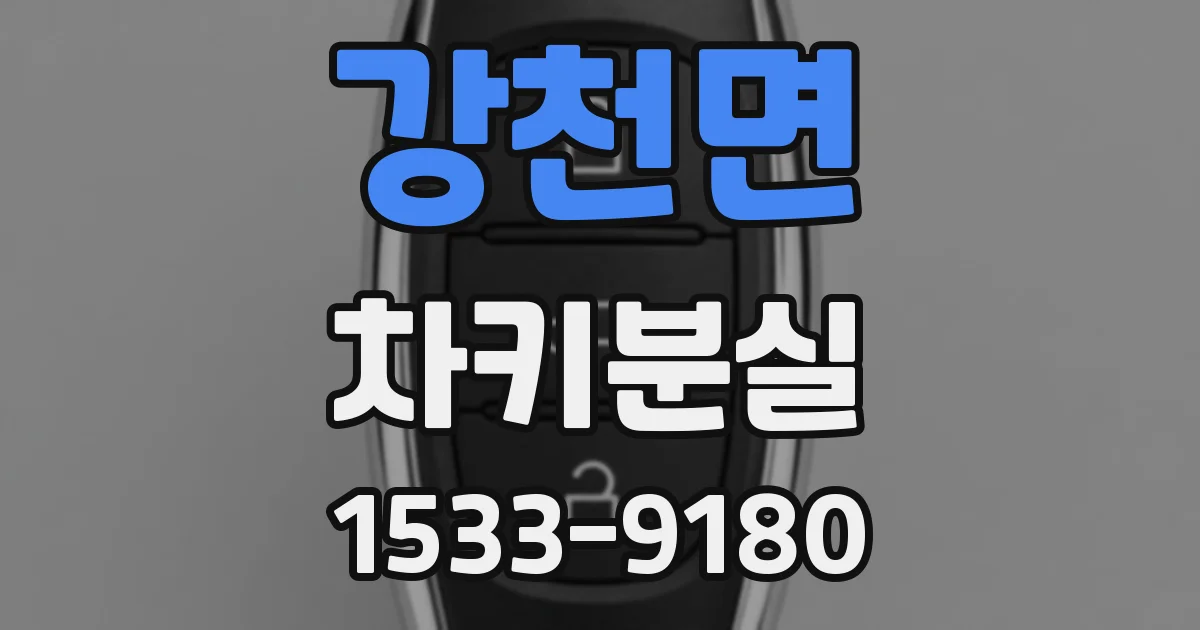 강천면 차키분실