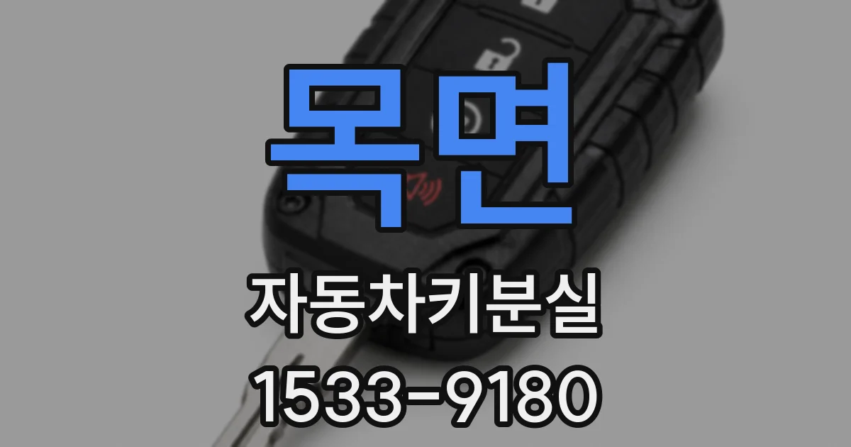 목면 자동차키분실