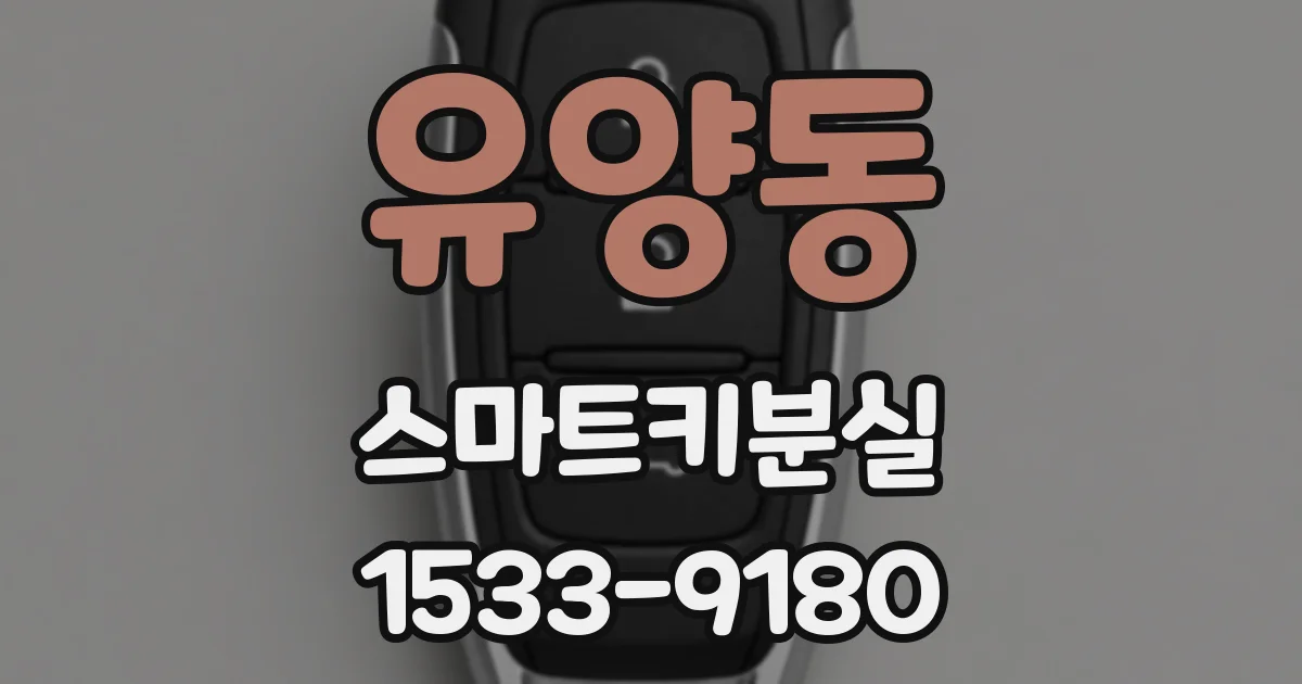 유양동 스마트키분실