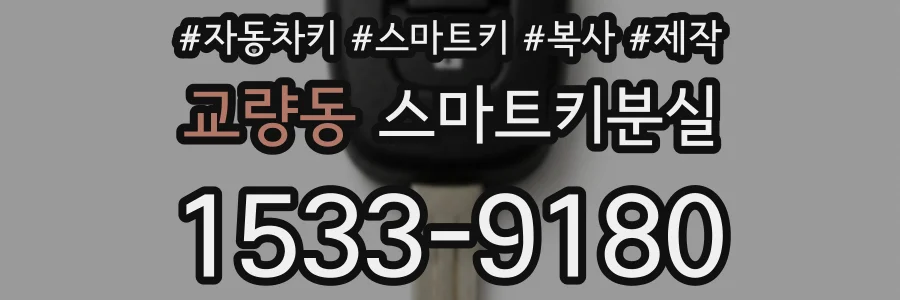 교량동 스마트키분실
