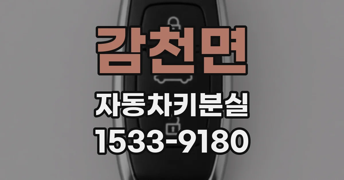 감천면 자동차키분실