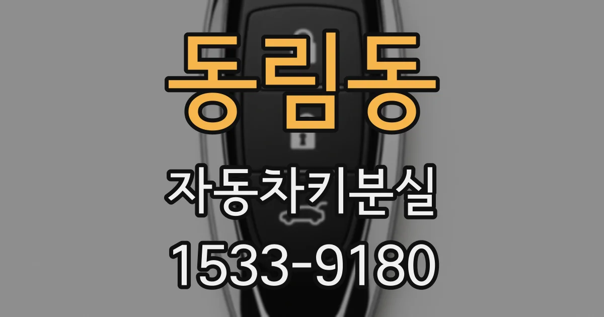 동림동 자동차키분실