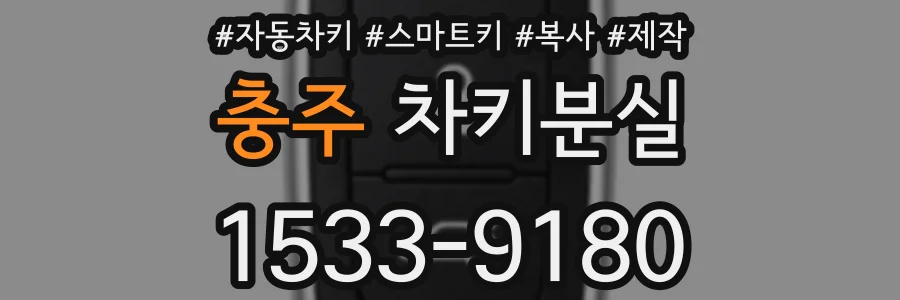 충주 차키분실