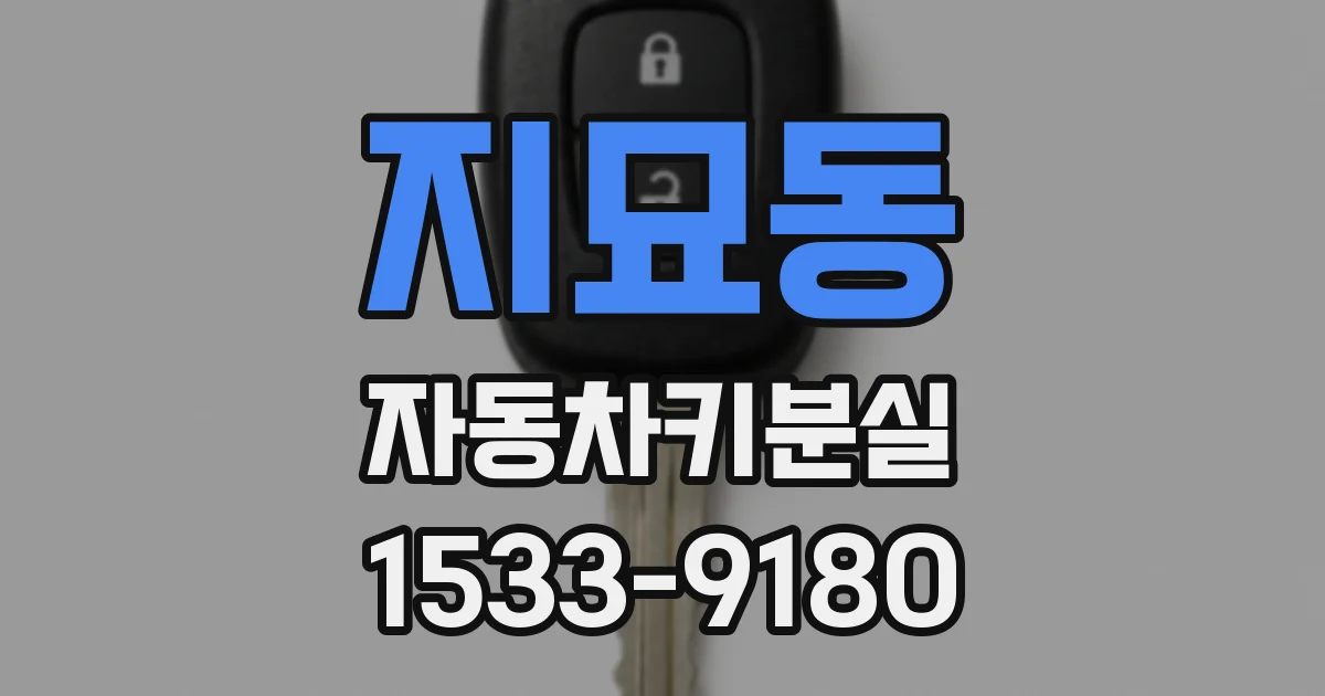 지묘동 자동차키분실