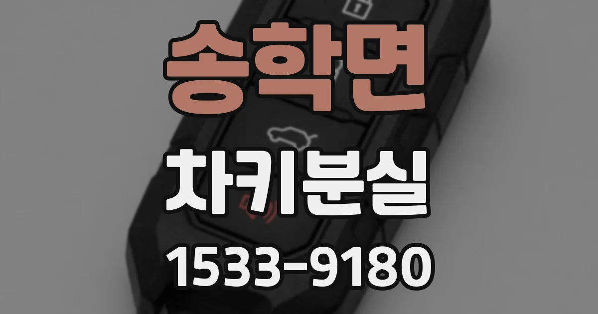 송학면 차키분실