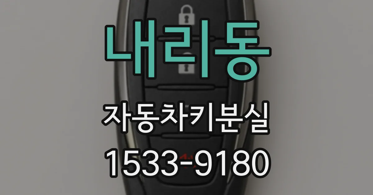 내리동 자동차키분실