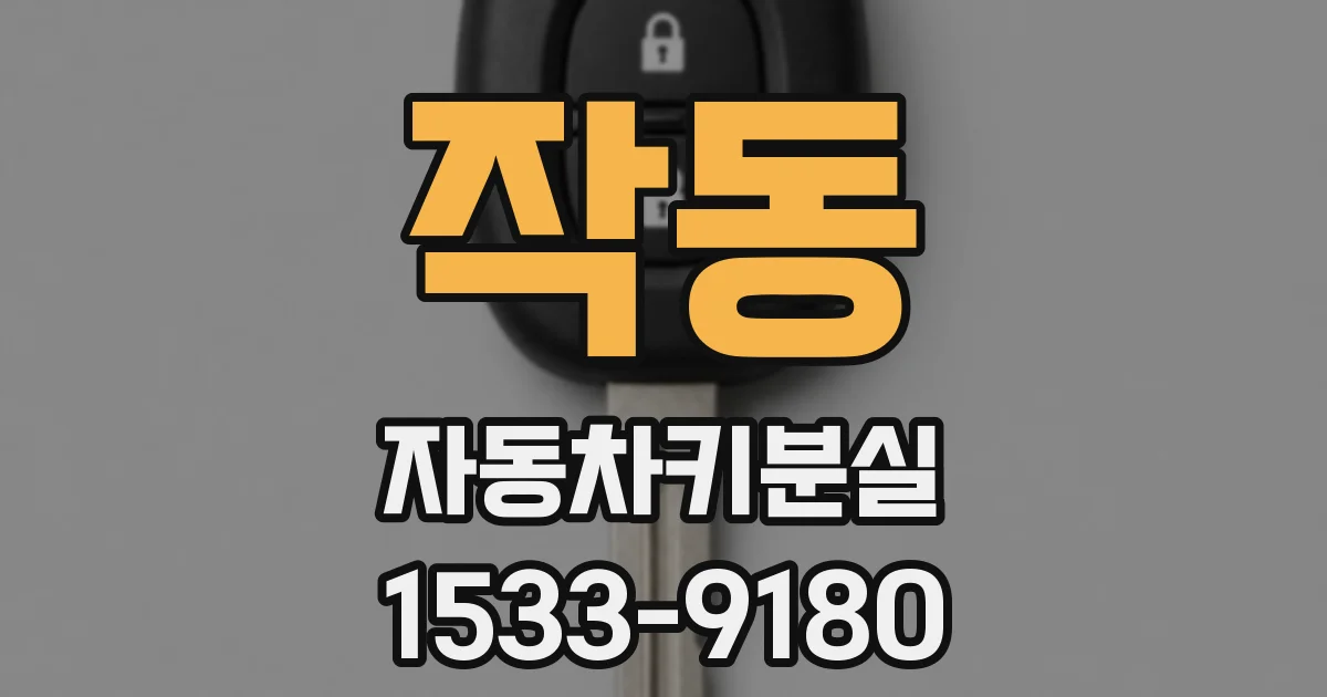 작동 자동차키분실