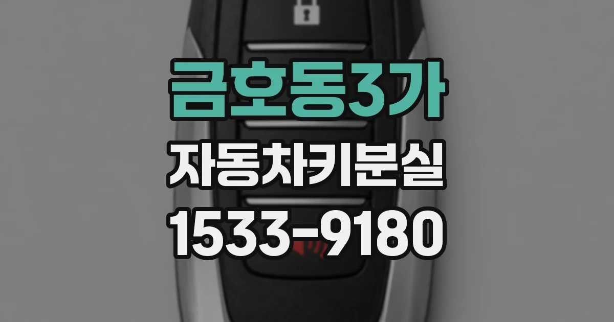 금호동3가 자동차키분실