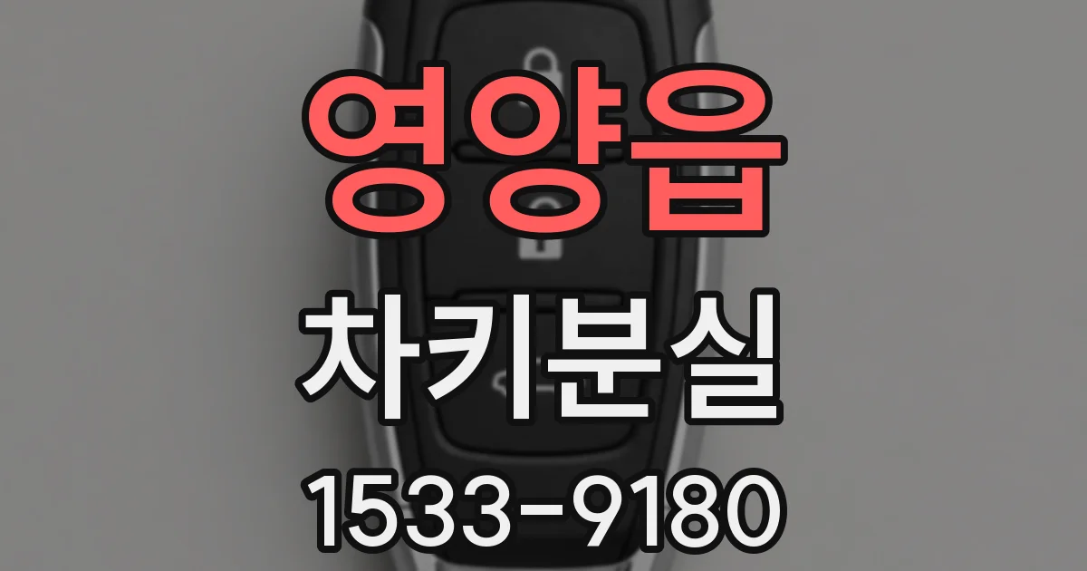 영양읍 차키분실