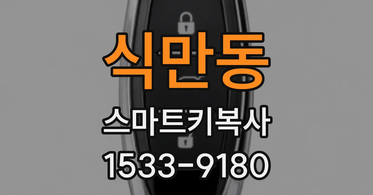 식만동 스마트키복사