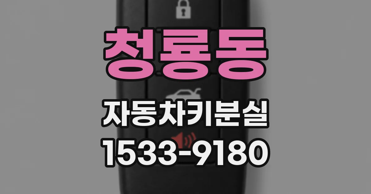 청룡동 자동차키분실