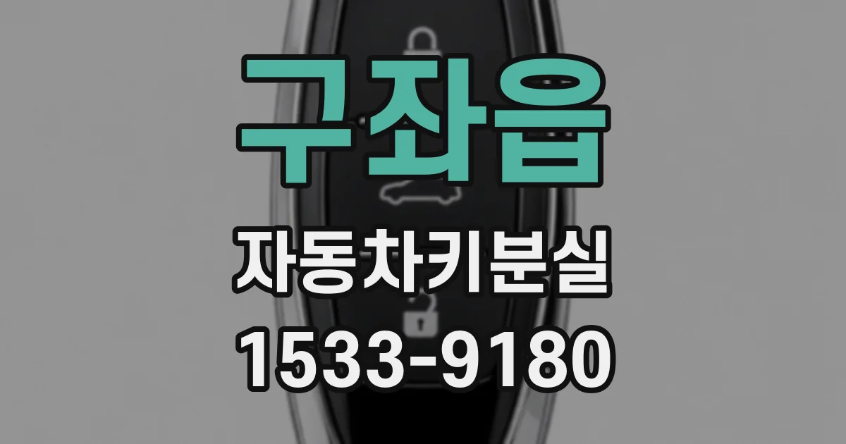 구좌읍 자동차키분실