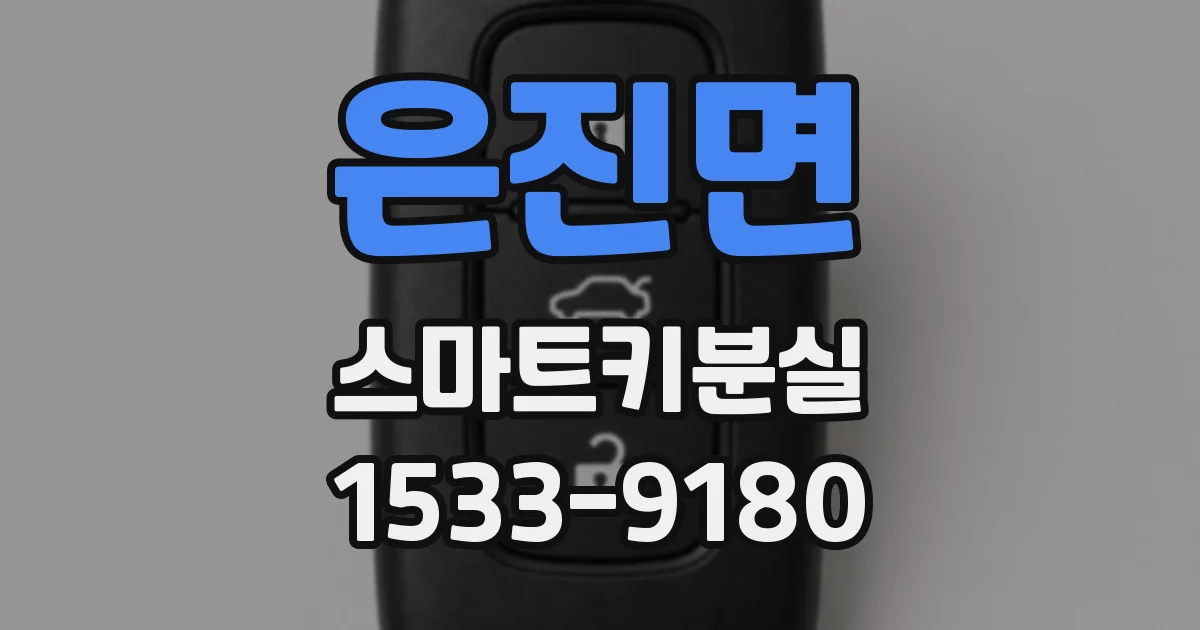 은진면 스마트키분실