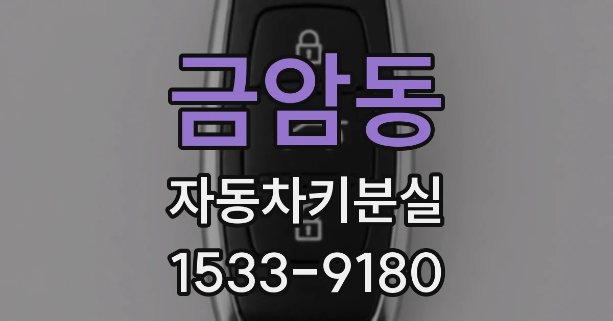 금암동 자동차키분실