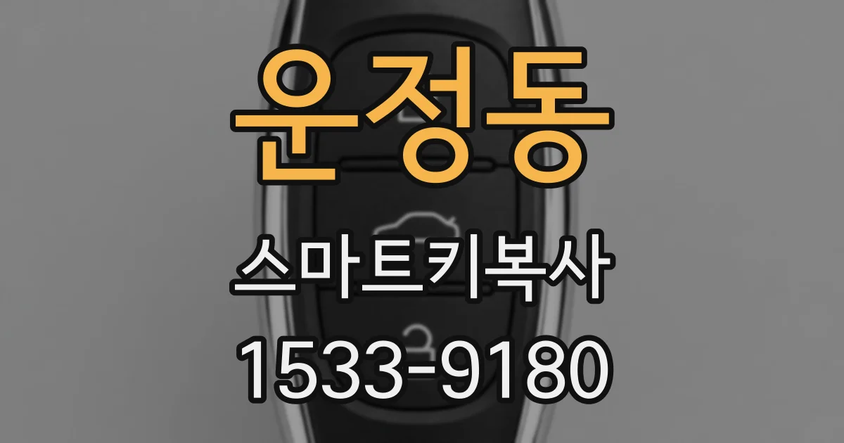 운정동 스마트키복사