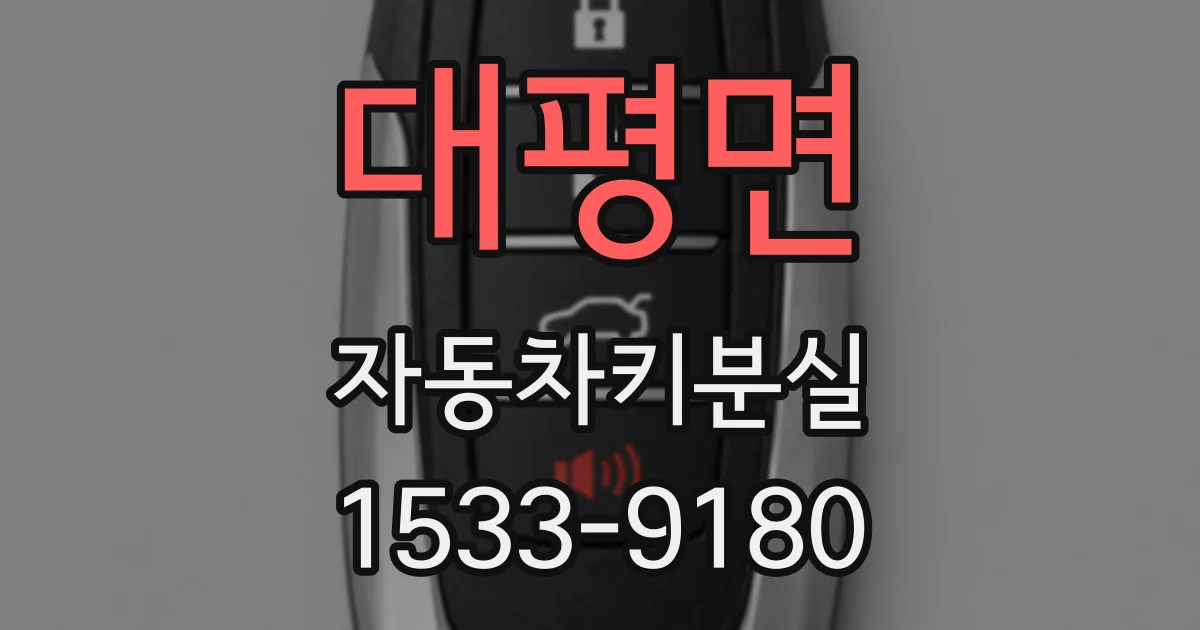 대평면 자동차키분실