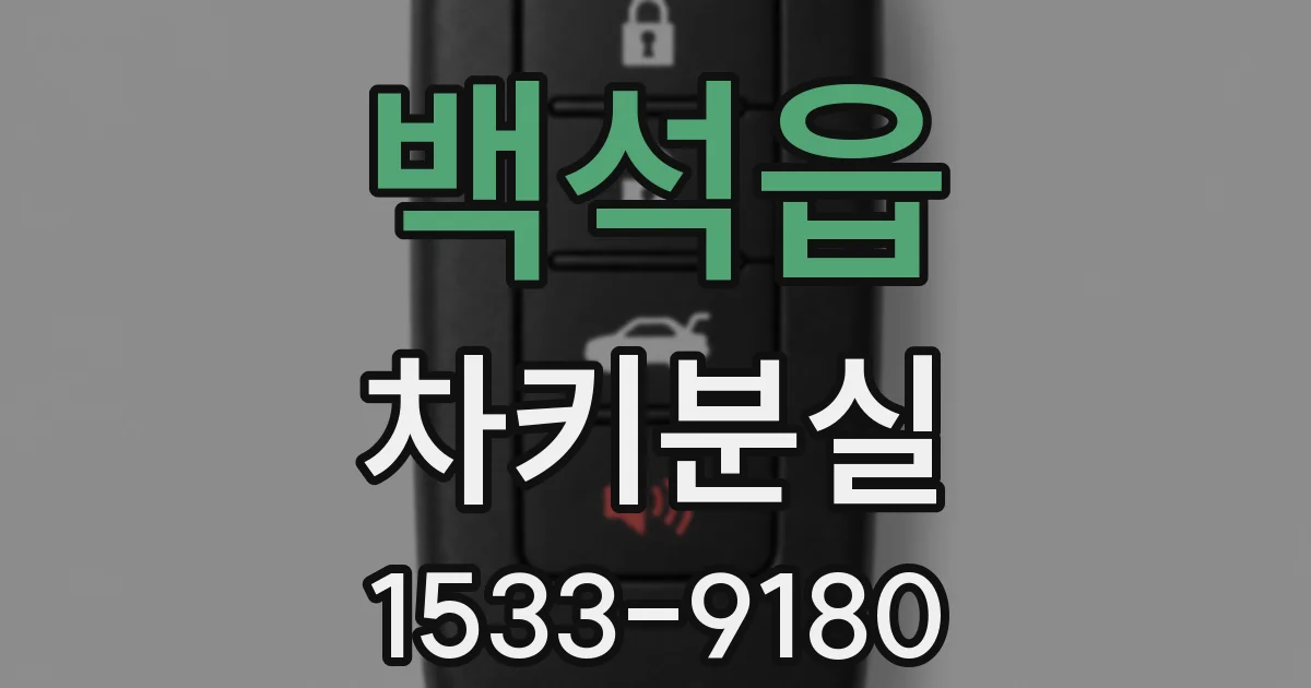 백석읍 차키분실