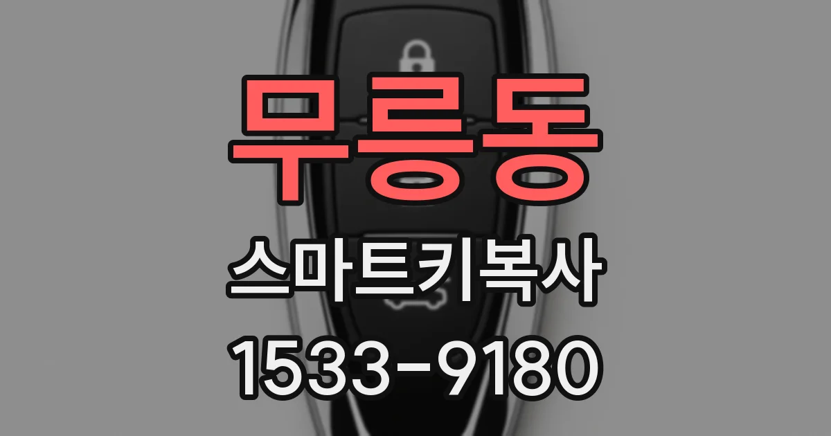 무릉동 스마트키복사