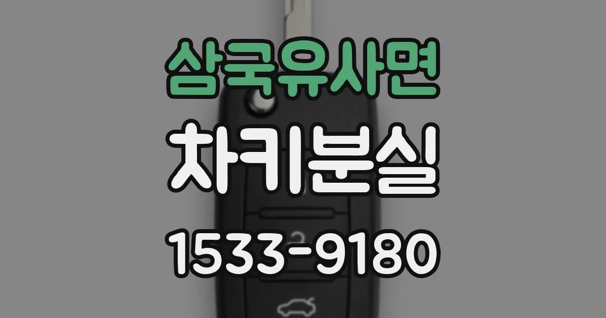 삼국유사면 차키분실