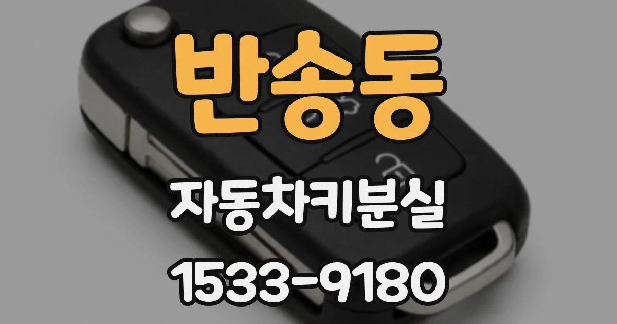 반송동 자동차키분실