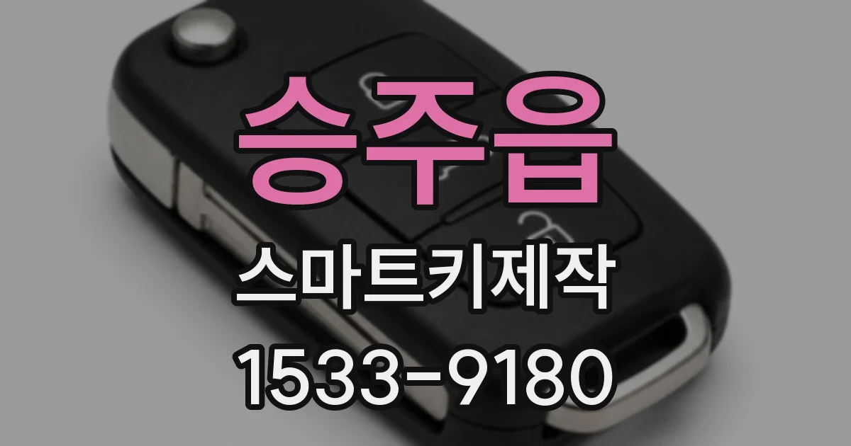 승주읍 스마트키제작