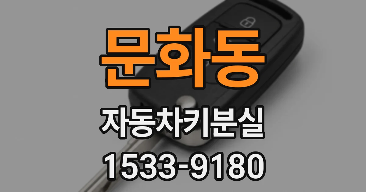 문화동 자동차키분실
