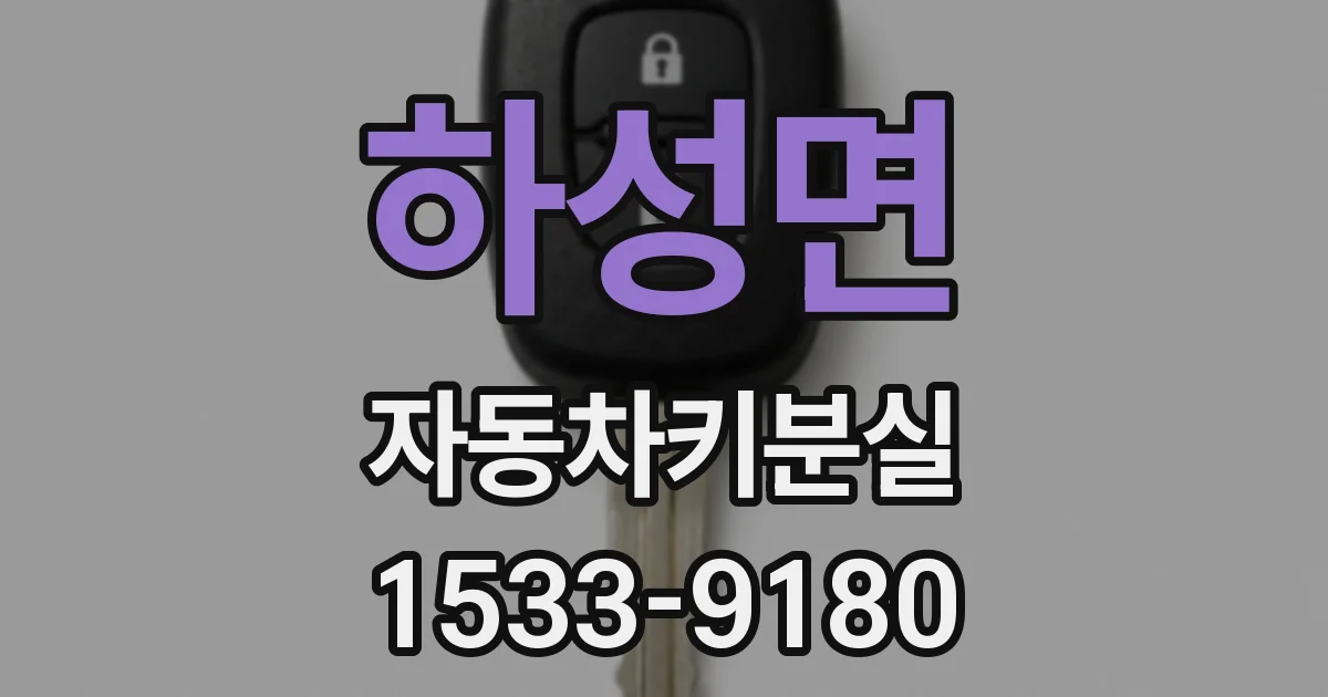 하성면 자동차키분실