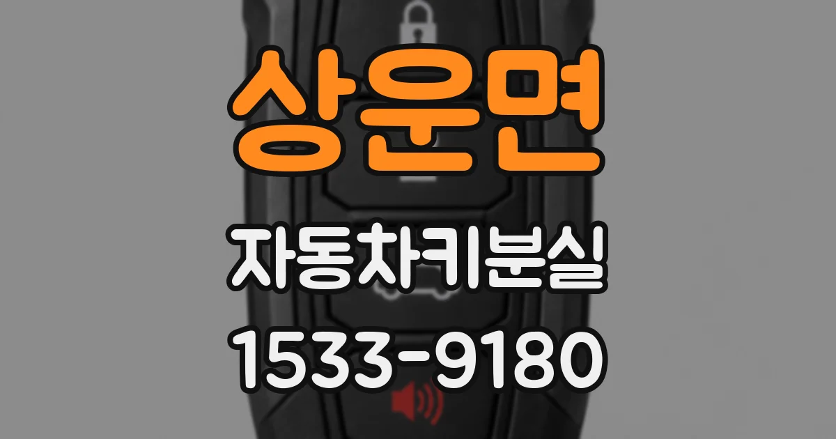 상운면 자동차키분실