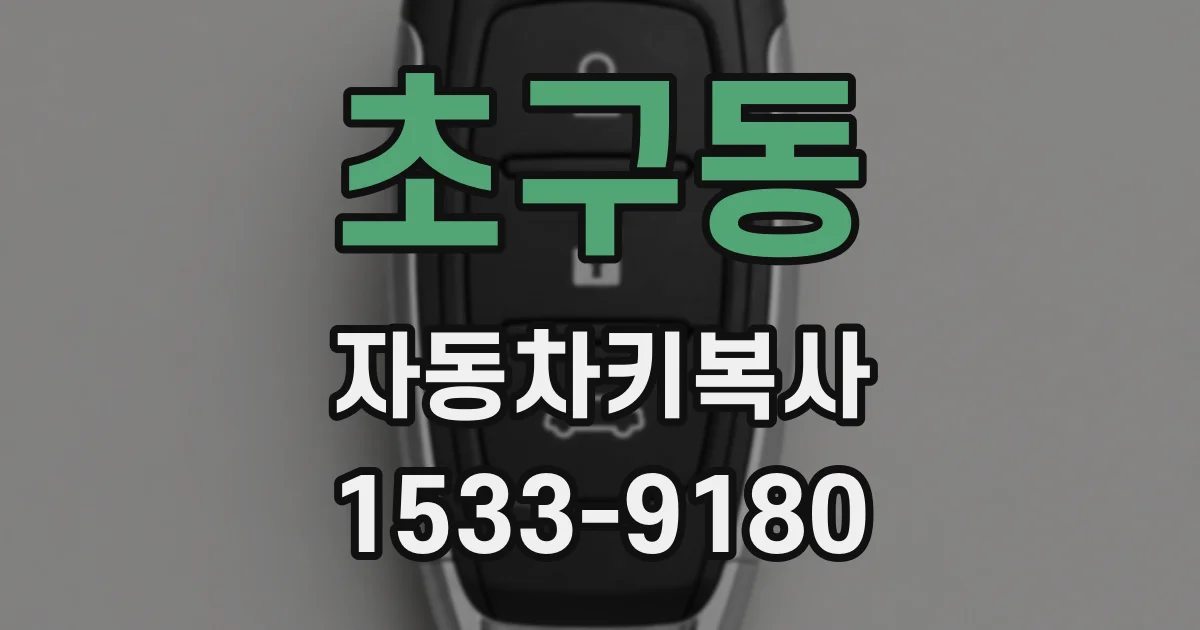 초구동 자동차키복사