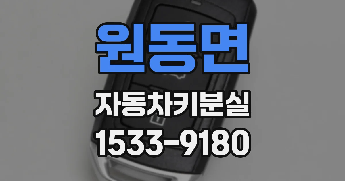 원동면 자동차키분실