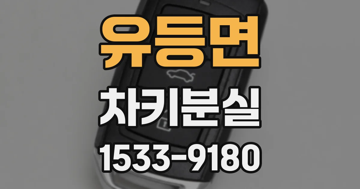 유등면 차키분실