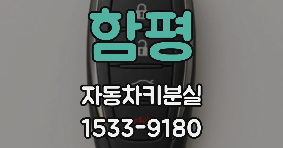 함평 자동차키분실